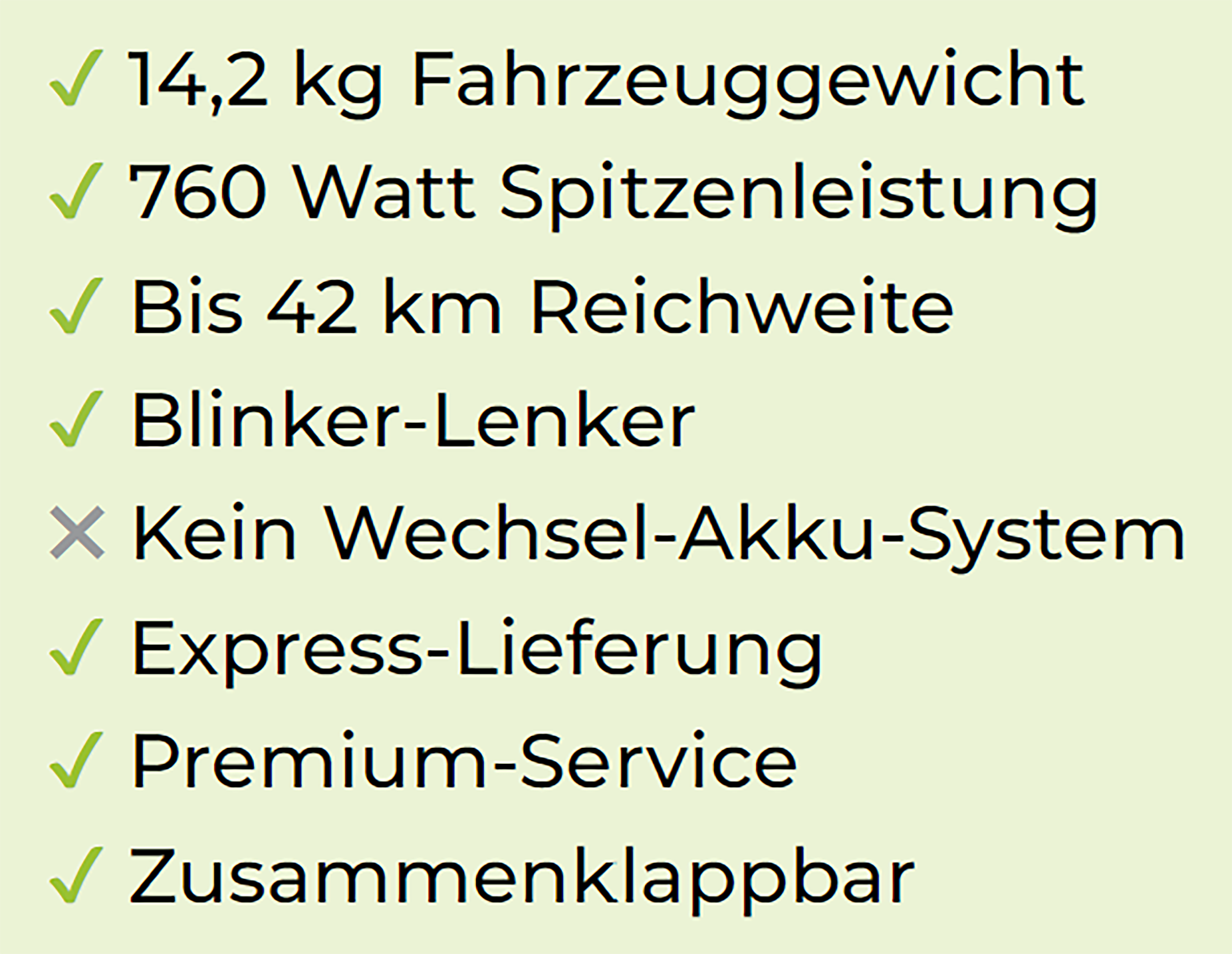 E-Scooter STREETBOOSTER Vega schwarz, Text