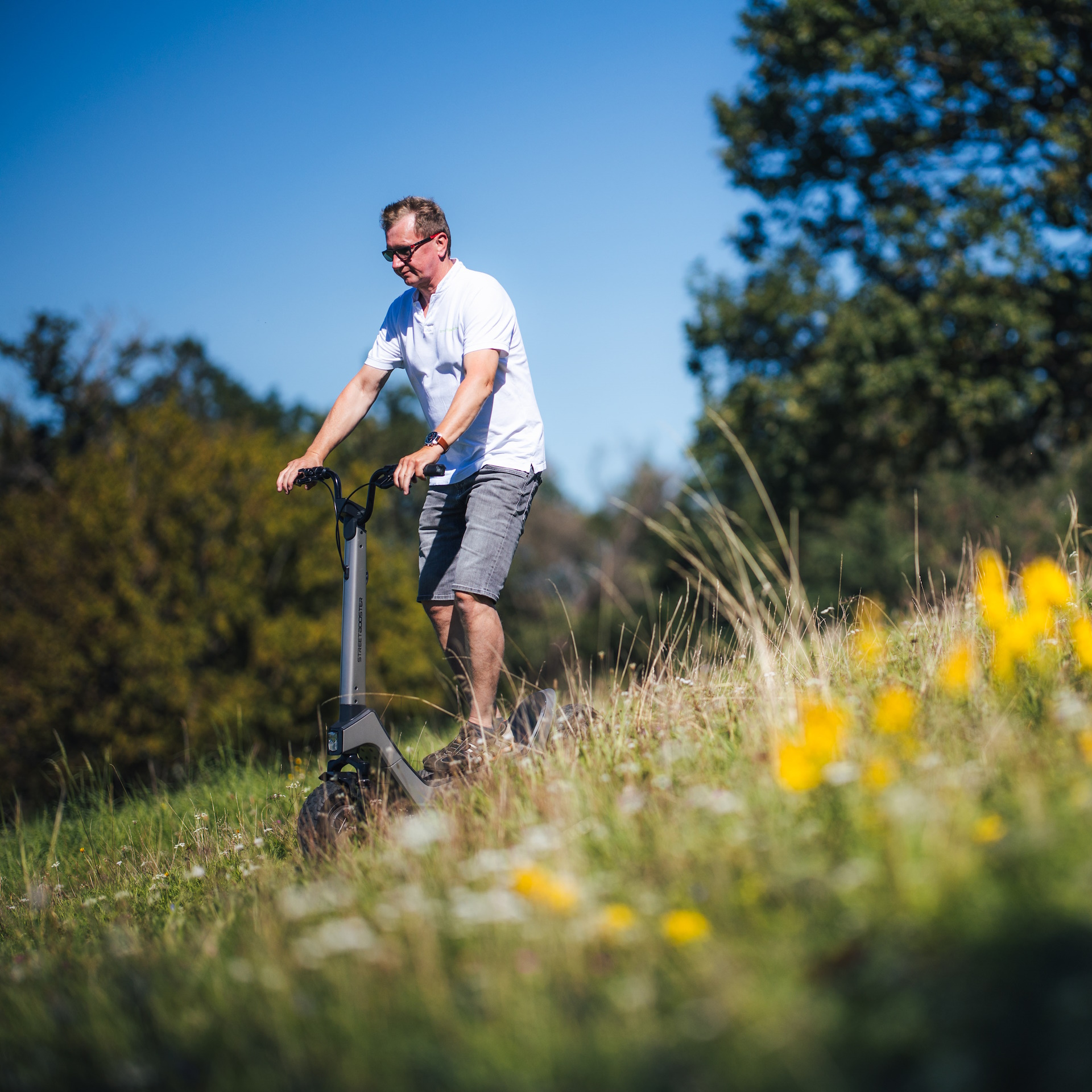 E-Scooter STREETBOOSTER Pollux, Gras, Pflanze, Rasen, E-Scooter, Fahrzeug